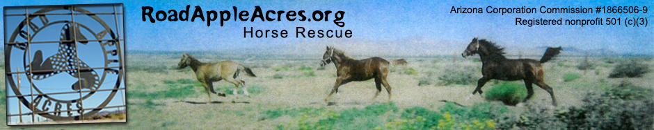 Road Apple Acres horse rescue ranch
