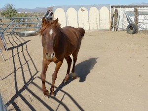 Ranch life photo 3