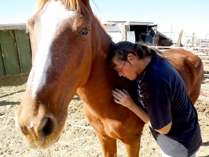 Ranch life photo 5